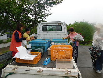 白い軽トラックの荷台に青やオレンジのコンテナを並べて野菜を販売しており、オレンジ色のベストを着た販売員と野菜を手に取り品定めをする客の女性たちが写っている軽トラ市の様子を撮影した写真