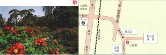 左:右上に5と番号が振られた、一面に広がる鮮やかな赤色の牡丹の花畑の写真、右:須賀川の牡丹園が数字の5で示された周辺地図