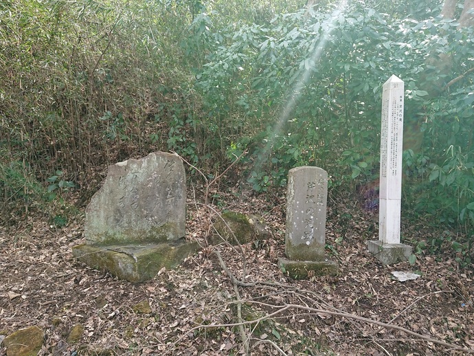木々に囲まれた斜面に、風化した万葉歌碑や「芹沢の老跡」と刻まれた石碑、解説が書かれた白い標柱が並び、足元には枯れ葉や小枝が散らばっている写真