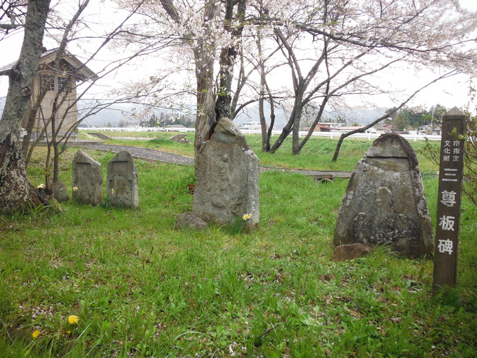 桜の花が咲く木々の下、芝生の上に並ぶ複数の古い石碑と、右端には「市指定文化財 三尊板碑」と書かれた木の案内柱が立つ三尊板碑の写真