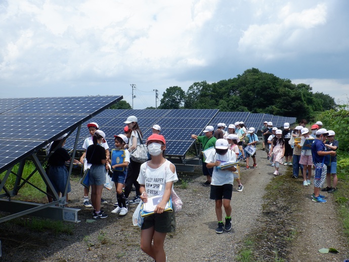 広大な敷地に整然と並ぶ多数のソーラーパネルの間を、白い帽子を被り探検バッグを手にした大勢の小学生たちが歩きながら、パネルの仕組みを観察したりメモを取ったりしているESD環境学習の様子の写真