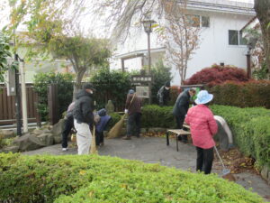 ほうきを手にした複数の男女が、植え込みや小道周辺の落ち葉を集めている様子の写真