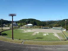 写真：野球場の全景