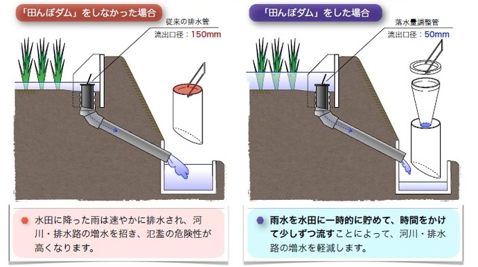 図：「田んぼダム」をしなかった場合、「田んぼダム」をした場合