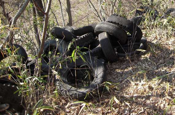 写真：不法投棄されたタイヤ
