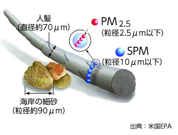 比較図:pm2.5の大きさ
