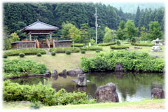 写真：日本庭園3