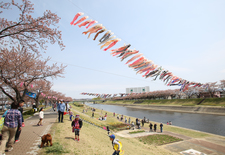 写真：釈迦堂川