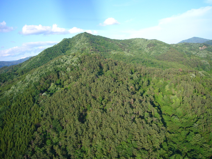 写真：上空からの宇津峰