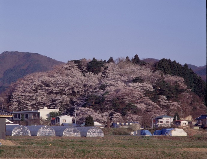 写真：長沼城址