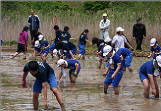 三世代交流事業(田植え)
