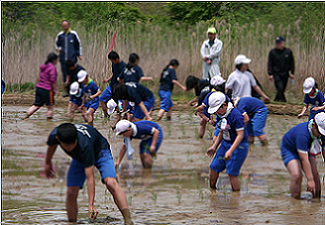 三世代交流事業（田植え）