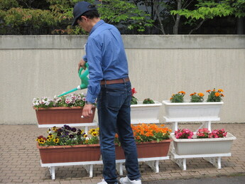 職員がじょうろで花に水をかけている写真