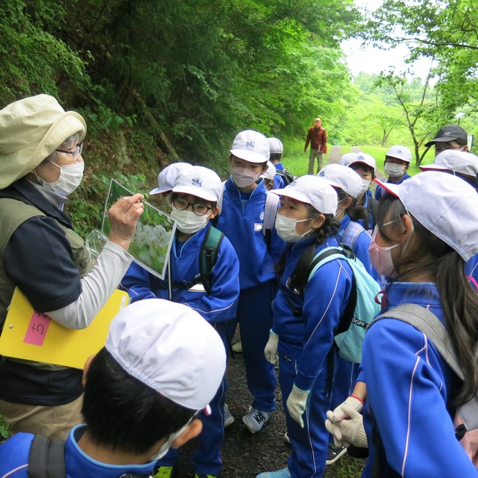 森林保全の大切さを学ぶ