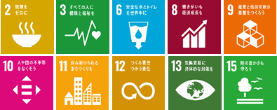 アイコン：SDGs