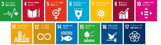 sdgs_icon