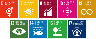 sdgs_icon