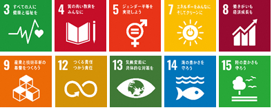 sdgs_icon