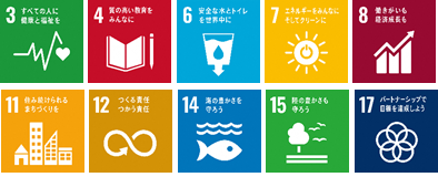 sdgs_icon