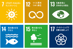 sdgs_icon