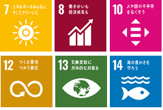 sdgs_icon