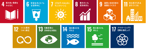 sdgs_icon