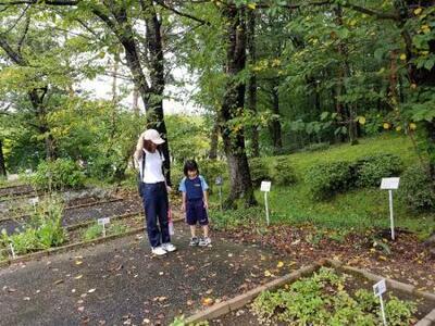 写真：薬用植物園を見学する親子