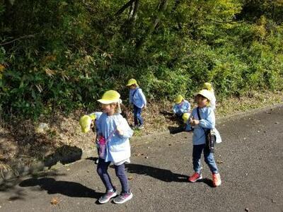 写真：きのこ岩まで自然探勝する子どもたち