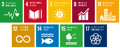 sdgs_icon