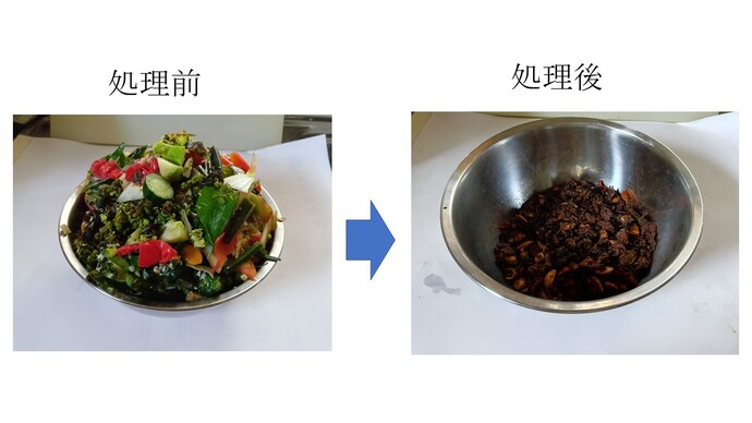 写真：生ごみの処理前と処理後の比較