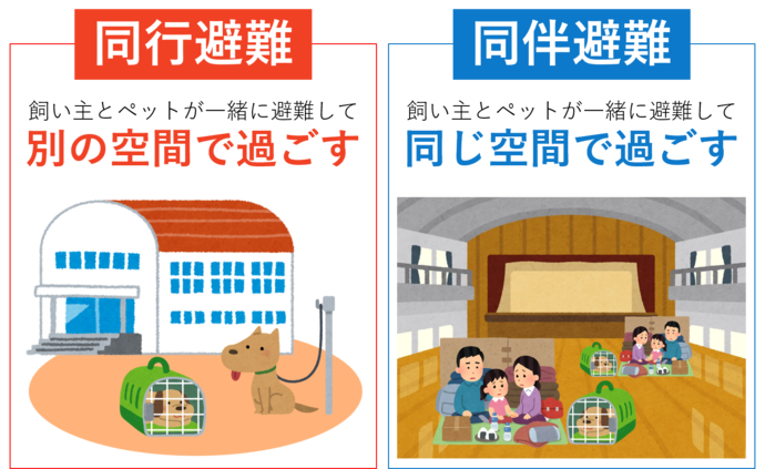 ペットの同行避難と同伴避難のイラスト