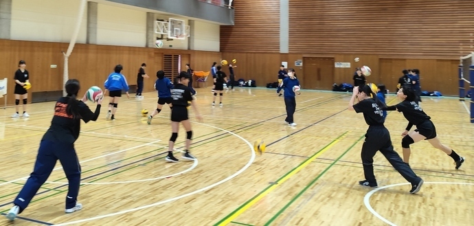 バレーボール休日部活動の様子
