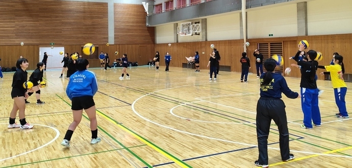 バレーボール休日部活動の様子