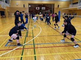 バレーボール休日部活動の様子