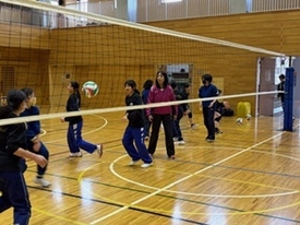 バレーボール休日部活動の様子