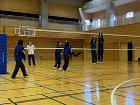 バレーボール休日部活動の様子