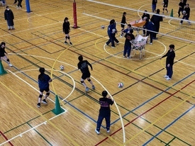 バレーボール休日部活動の様子