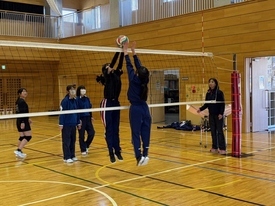 バレーボール休日部活動の様子