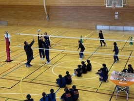 バレーボール休日部活動の様子