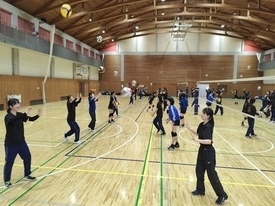 バレーボール休日部活動の様子