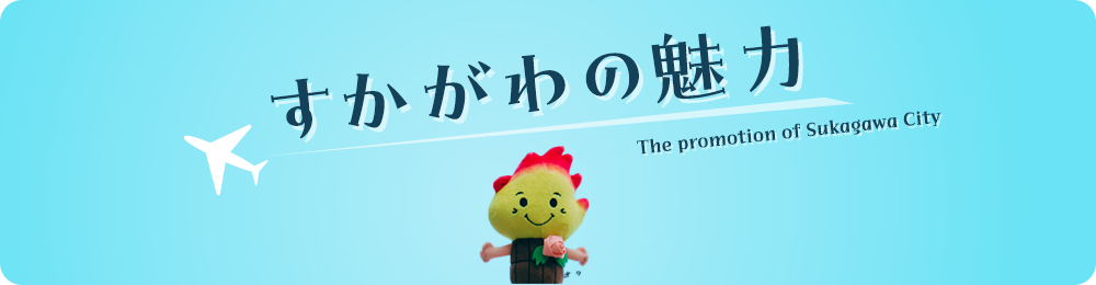 すかがわの魅力