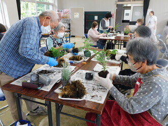新聞紙が敷かれた長机の上で、マスクや手袋を着用した高齢者たちが植物の苗と苔を使って苔玉作り作業に集中して取り組んでいる第1回講座こけ玉作りの様子写真