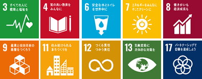 左上から「3.すべての人に健康と福祉を」の文字と、心電図のグラフのような線の先にハートマークが描かれているSDGs目標3のアイコン、「4.質の高い教育をみんなに」の文字と、開かれた本と鉛筆が描かれているSDGs目標4のアイコン、「6.安全な水とトイレを世界中に」の文字と、下向きの矢印が描かれたタンクのような容器に入っている水のイラストが描かれているSDGs目標6のアイコン、「7.エネルギーをみんなにそしてクリーンに」の文字と、太陽のイラストの中央に電源マークのアイコンがあるSDGs目標7のアイコン、「8.働きがいも経済成長も」の文字と、棒グラフと右上がりの矢印が描かれているSDGs目標8のアイコン、左下から「9.産業と技術革新の基盤をつくろう」の文字と、L字型に置かれた3つの立方体の上にもう1つの立方体が置かれているイラストが描かれているSDGs目標9のアイコン、「11.住み続けられるまちづくりを」の文字と、家やビルが横一列に並んでいるSDGs目標11のアイコン、「12.つくる責任つかう責任」の文字と、無限大のマーク中央の一部が矢印になっているSDGs目標12のアイコン、「13.気候変動に具体的な対策を」の文字と、目のイラストの瞳の部分が地球になっているSDGs目標13のアイコン、「17.パートナーシップで目標を達成しよう」の文字と、5つの輪が重なって花の形のようになっているSDGs目標17のアイコン