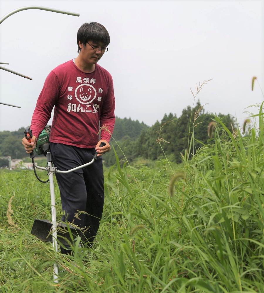 緑の草が生い茂る屋外で、桑原さんが両手でエンジン付きの草刈り機を操作しながら草を刈っている様子の写真
