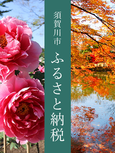 須賀川市 ふるさと納税