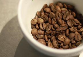 白い器の中に中煎り程度の茶褐色のコーヒー豆が多数入っており、豆の表面には軽い光沢があり、割れ目がはっきりと見えている写真