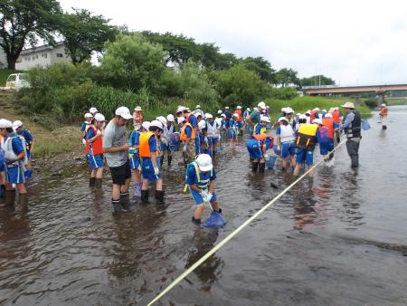 川の浅瀬で大勢の子どもが、青い運動服と白い帽子に救命胴衣を着用し、網を使って水中を探る活動をしている写真