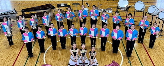 体育館で青とピンクの衣装を着た子供たちが、金管楽器や打楽器などの楽器を持ちながら整列し、最前列では3人の女の子が華やかな衣装でポーズを決めている、マーチングバンドの集合写真