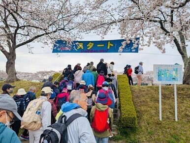 満開の桜並木の下で、多くの市民が「スタート」と書かれた青い横断幕が掲げられた土手の階段を上り、ウォーキングイベントの開始に向けて一斉に歩き出している春の行事の風景の写真