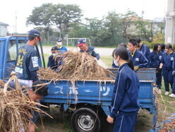 青い軽トラックにジャージ姿の生徒たちとレッドホープスの選手2名が萱を積み込んでいる様子の写真
